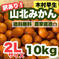 山北みかん 2L 10kg 木村早生 家庭用 高知県産 10kg 果物/温州みかん通販