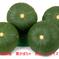 大好評につき追加で限定5名大特価！島根県産　正規品・栗かぼちゃ（１０㌔） かぼちゃ　10㌔ 野菜/かぼちゃ通販