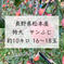 長野県松本産　特大サンふじ　約10キロ　16〜18玉　ギフト・お歳暮にも！ 約10キロ　16〜18玉 果物/りんご通販