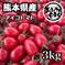熊本県産 完熟アイコ『おるげんとまと』3kg 3kg 野菜/トマト通販