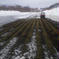 予約割引　雪ノ下人参　北海道産　真狩村　10キロ 雪ノ下人参　10キロ 野菜/人参通販