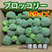 徳島県産 ブロッコリー 約3〜4キロ 3〜4キロ 野菜/ブロッコリー通販