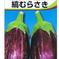 【訳あり】1㎏　旬の野菜　お試し　セット✨　送料無料 1kg 野菜/野菜セット・詰め合わせ通販