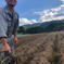 (末永様専用)北海道産とうやMサイズ5kg 5kg 野菜/じゃがいも通販