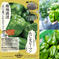 ツヤッツヤの「たじまのピーマン」１kg　兵庫県香美町産　朝採れ　産直　【旬祭限定】 ピーマン１ｋｇ 野菜/ピーマン通販