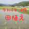 高知県産 令和4年産 コシヒカリ玄米25㎏(袋込み) 25㎏ 米・穀物/玄米通販