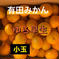 有田みかん　ゆら早生　5kg 5kg 果物/温州みかん通販