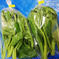 【兵庫県産】有機ツルムラサキ150g袋×5袋セット 750g 野菜/葉物通販