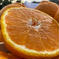 【愛媛県産不知火】デコポン🍊出たよ〜♪ 5.0×2（10k） 果物/オレンジ・その他みかん通販