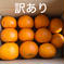 木成り八朔”さつき” 【訳あり】正味2kg 果物/オレンジ・その他みかん通販