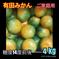 有田みかん🍊由良早生　4 kg（ご家庭用） 4 kg（箱込） 果物/温州みかん通販