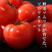 ⑦ソムリエトマト １.３kgとソムリエミニトマト　ダイヤ１kgのセット トマト1.3kg ダイヤ1kg 野菜/トマト通販