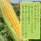 【初夏の贈り物】朝摘みゴールドラッシュ〈特選6本 常温便〉 常温6本 野菜/とうもろこし通販