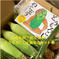 ギフトにも🎁『とうもろこし🌽ぬぐぞう』セット😂 とうもろこし8〜10本と絵本1冊 野菜/とうもろこし通販