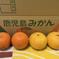 鹿児島県産「甘夏と橙の詰め合わせ」箱込み5㎏ 箱込み5㎏ 果物/オレンジ・その他みかん通販