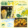 怪獣レモン 6玉 果物/香酸柑橘(ライム・レモン等)通販