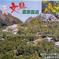 松岡ぶんたん園の訳あり土佐文旦 5㎏箱　大小（3L〜Ｌ、4Lが入ることもあります）・形不揃い　10個前後入り 果物/オレンジ・その他みかん通販