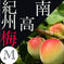 M 南高梅10kg 10kg 果物/青梅通販