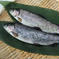 [虹鱒 ]ニジマス 12尾入 ×13箱セット【156尾】(19cmサイズ)冷凍 156尾/13㎏ 魚介類/川魚通販
