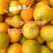数量限定❗️国産バレンシアオレンジ🍊　家庭用5kg 5kg 果物/オレンジ・その他みかん通販