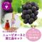 P-WN　花笑み農園　ピオーネと加工品セット（ピオーネワイン＆飲む酢） ピオーネ1房＋2本セット（ワイン、飲む酢　各1本） 加工品/加工品セット・詰め合わせ通販