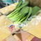 いいとこよりどりセット💕👩‍🌾プレゼント用にも対応します☺️ 大玉トマト2袋(約6個)、ミニトマト1パック(約15個)、白とうもろこし5本、小松菜2袋、ジャガイモ1キロ 野菜/野菜セット・詰め合わせ通販
