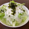 淡路島のレタス🥬と新玉ねぎセット🧅！レタス2玉、新玉ねぎ2kg レタス2玉、新玉ねぎ2kg 野菜/野菜セット・詰め合わせ通販
