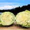すべて農薬不使用の旬の野菜セット✨【数量限定】 自然栽培 100サイズ箱に旬の野菜たっぷり！ 野菜/野菜セット・詰め合わせ通販
