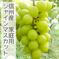 【家庭用】信州産シャインマスカット約2kg 9月【家】シャ2k 果物/ぶどう通販