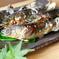 【特大！】一日１個限り！その日一番大きい「信州あゆ」生鮮 10尾 魚介類/川魚通販