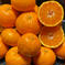 【希少価値の高い】🍊はれひめ🍊（3.0k入） 3.0k 果物/オレンジ・その他みかん通販