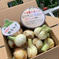 ❣️訳ありかも新玉ねぎ10kg‼️玉ねぎ大国淡路島からの新玉ねぎ‼️特別栽培農産物 訳あり新玉ねぎ10kg 野菜/玉ねぎ通販
