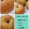 【クール便発送商品】8月収穫梨！訳ありご家庭用梨！サイズいろいろはいります！4ｋｇ！ 4 果物/梨通販