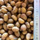無農薬じゃがいも【インカのめざめ】M〜Lサイズ1kg 1kg 野菜/じゃがいも通販