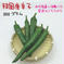 【北海道・沖縄専用】韓国唐辛子 約300g 宮崎産 青唐辛子 フレッシュ 収穫後農園から直送 約300g 野菜/スパイス通販