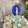 【東京 自由ヶ丘で販売】自然栽培やさい4種セット　無肥料 無農薬です。 旬のやさい４種 野菜/野菜セット・詰め合わせ通販