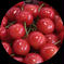 我が家のおすすめ🍒サクランボ🍒 佐藤錦/Ｌ　500g -2パック 果物/さくらんぼ通販