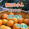 旨得！山富農園の田口早生（北海道•沖縄のお客様用） 箱込み10kg   果物/温州みかん通販