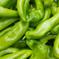 ★黄金唐辛子(半乾燥)200g★福耳唐辛子300g★ 500g 野菜/野菜セット・詰め合わせ通販
