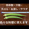 飯島農園の大長五角オクラ、ビッグフィンガー オクラ40〜50本 野菜/オクラ通販