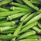 香川の伝統野菜『三豊なす』入り！とろける茄子＆オクラのセット 緑角オクラ400g とろーり旨なす1個　三豊なす1個 野菜/野菜セット・詰め合わせ通販