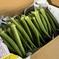 夏野菜の定番おくら詰合せ 1㎏　おくら50～70本前後 野菜/オクラ通販