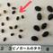 Lサイズ ピノガール1玉  【タネごと食べれる小玉すいか】 1玉　(1.5-2kg/1玉) 果物/スイカ通販