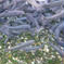 [岩魚]イワナ12尾入×4箱【48尾】(19cmサイズ)冷凍 48尾/4㎏ 魚介類/川魚通販