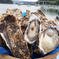 今が旬！三陸直送！殻付き牡蠣20個生食用L.Mサイズ混合生食用 魚介類/ウニ通販