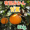 早春の甘酸っぱさ！甘夏みかん 箱込み約8kg 果物/オレンジ・その他みかん通販