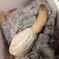 日間賀島漁師直送，白ミル貝，1キロ 1Kg 魚介類/その他貝類通販