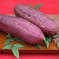 限定5箱!! 熟成干し芋　訳あり星あかね丸干し箱詰め2kg 2kg 野菜/野菜の加工品通販