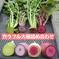 土付きカラフル大根詰め合わせ3kg 3kg 野菜/大根通販