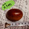 くりやまさんちの栗🌰 1kg 果物/栗通販
